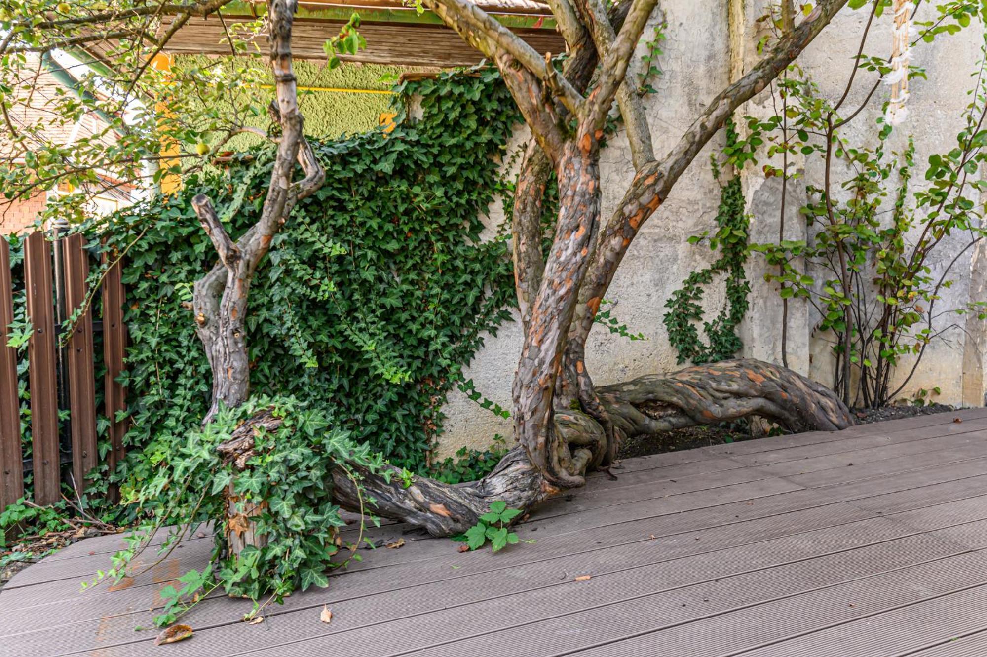 Lagom - Hot Tub Hideout *
